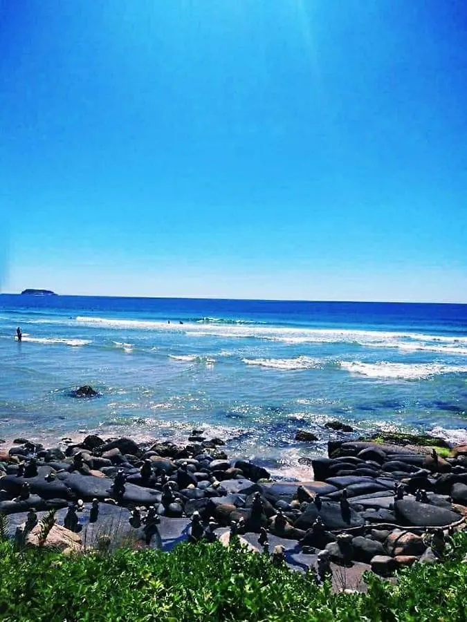 Espaco Benguela - Ingleses Florianópolis